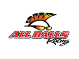 ALL BALLS RACING logo
